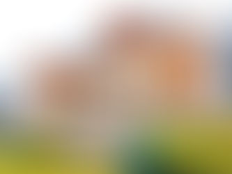 I migliori Tour 2018 in Ucraina con i partners di Tour Marketing Ucraina