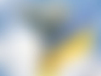 Si avvicina il Giorno dell'Indipendenza in Ucraina 2018