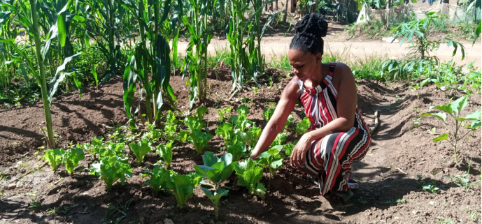 Kitchen gardens at her house hold which supports her family with daily income
