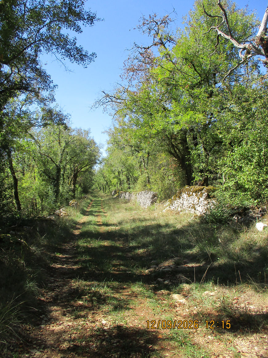 IMG_6763 chemin.jpg