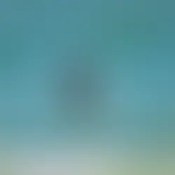 The Algarve Like You’ve Never Seen It: We are Bringing Efoiling to Lagos!