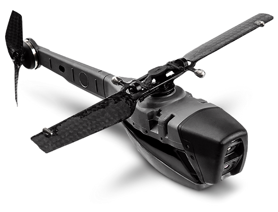 black-hornet-prs.png