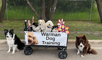 Warman Dog Training Parade 2024