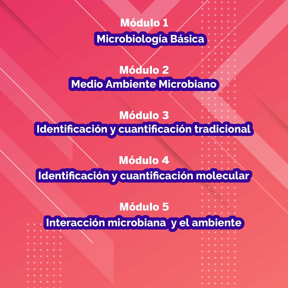 Miniatura: Diplomado en Microbiología Ambiental