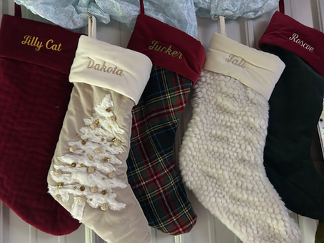 Snow Squall = Stocking Time