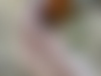 Joined the “social” - fresh Spaghetti Sauce to Celebrate