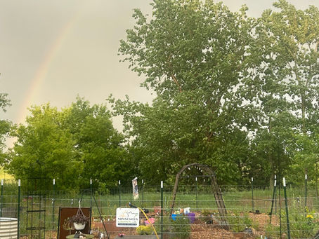Rainbow Fun &
* Thursday July 2nd 1st Farmers Market * Known Offerings