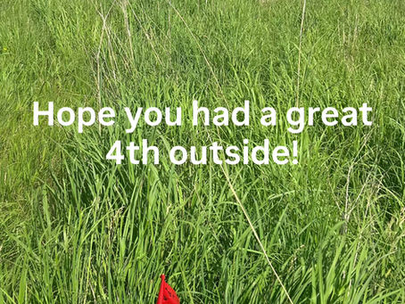 Hope it was a Fantastic Fourth Weekend!