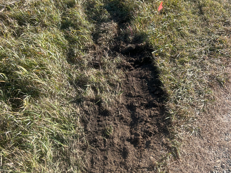 Nope didn’t like that spot & land uh-oh