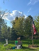IMG_6529.jpg
