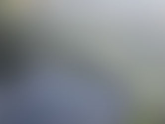 for the 💙 of land