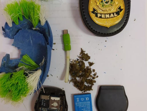 Policiais penais apreendem entorpecente e celular no presídio Manoel Nery em Cruzeiro do Sul.