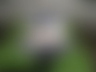 Polícia Militar em operação conjunta com Exército Brasileiro prende autor de tráfico de drogas