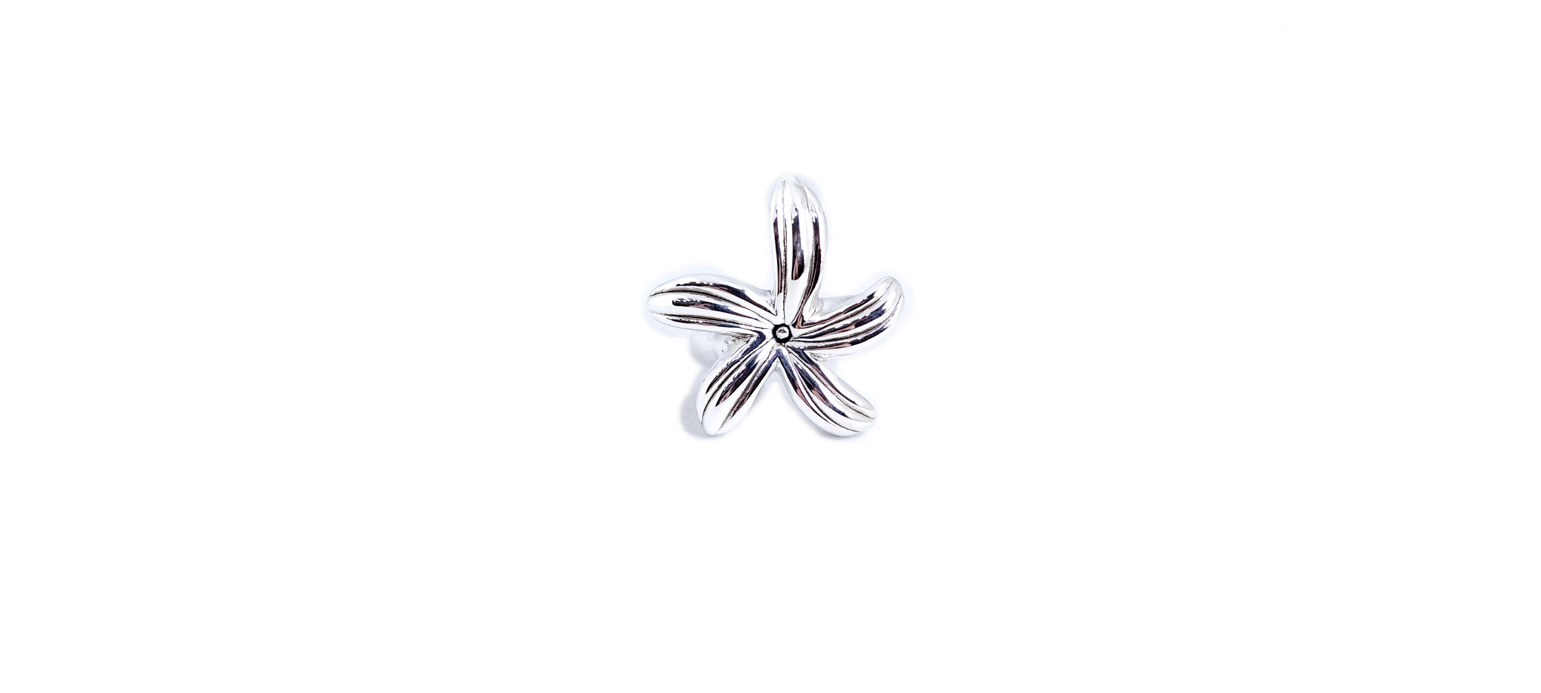 RP55