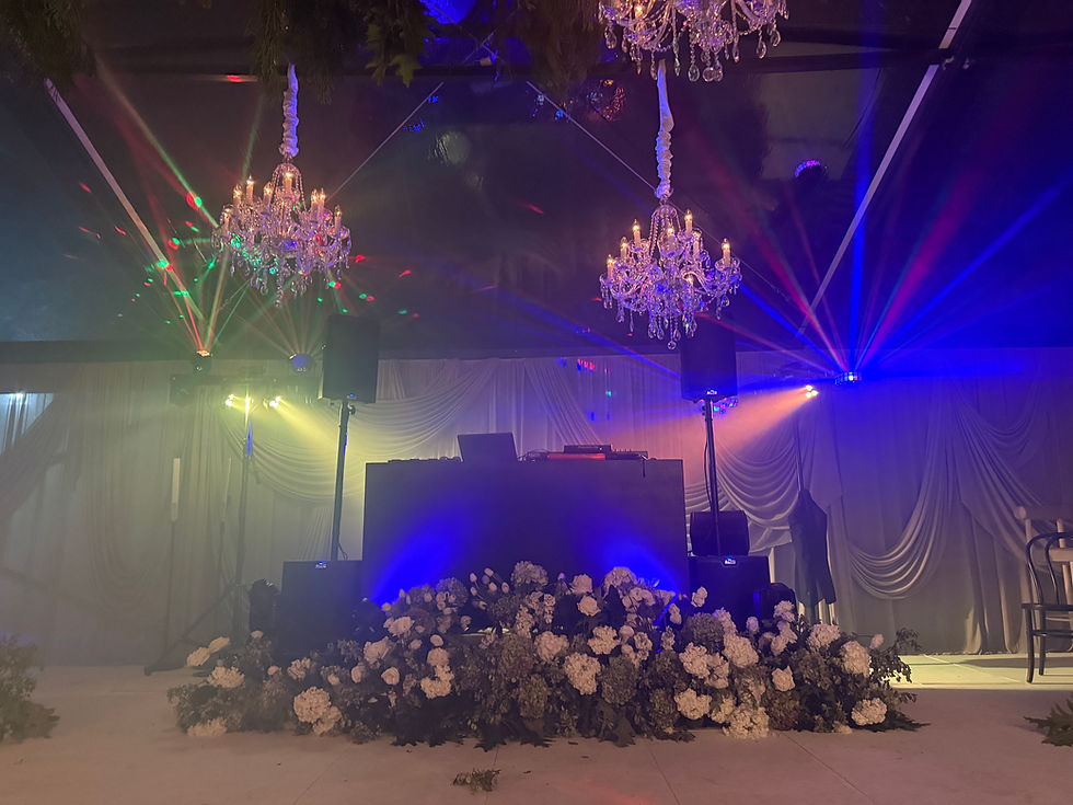 Wedding reception dancefloor with lighting, Queenstown DJ