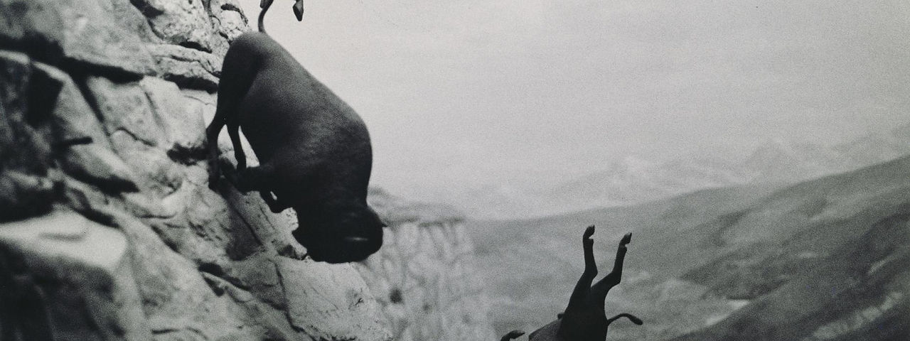 1988-89_Untitled_Falling_Buffalo.jpeg
