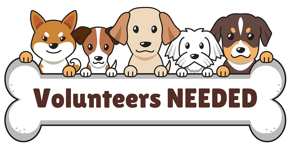Volunteers needed_edited.jpg