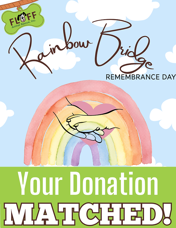Colorful Watercolor Chase Rainbows Quote Poster (3).png