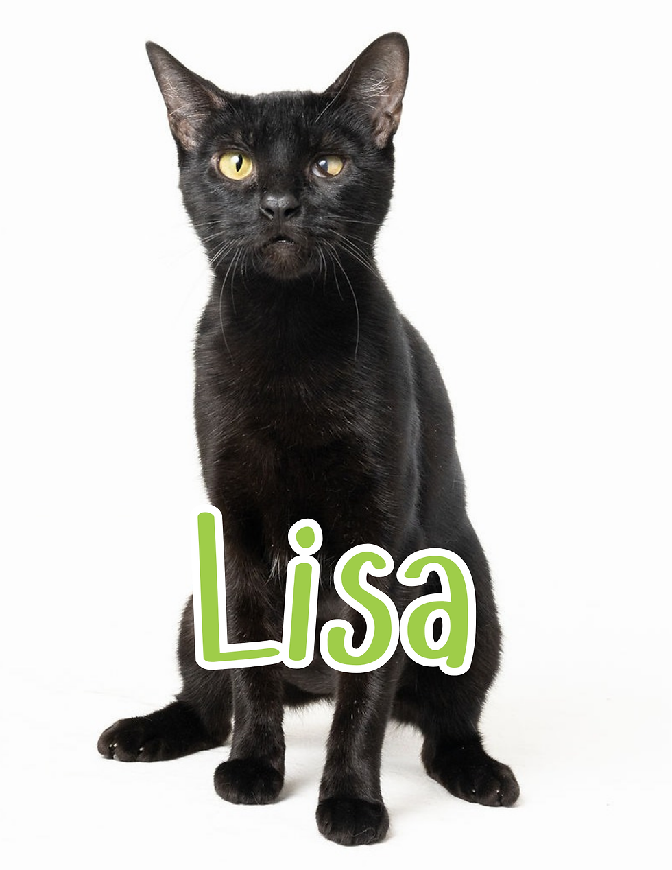 lisa