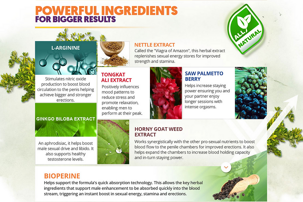 LiboPro Male Performance Ingredients