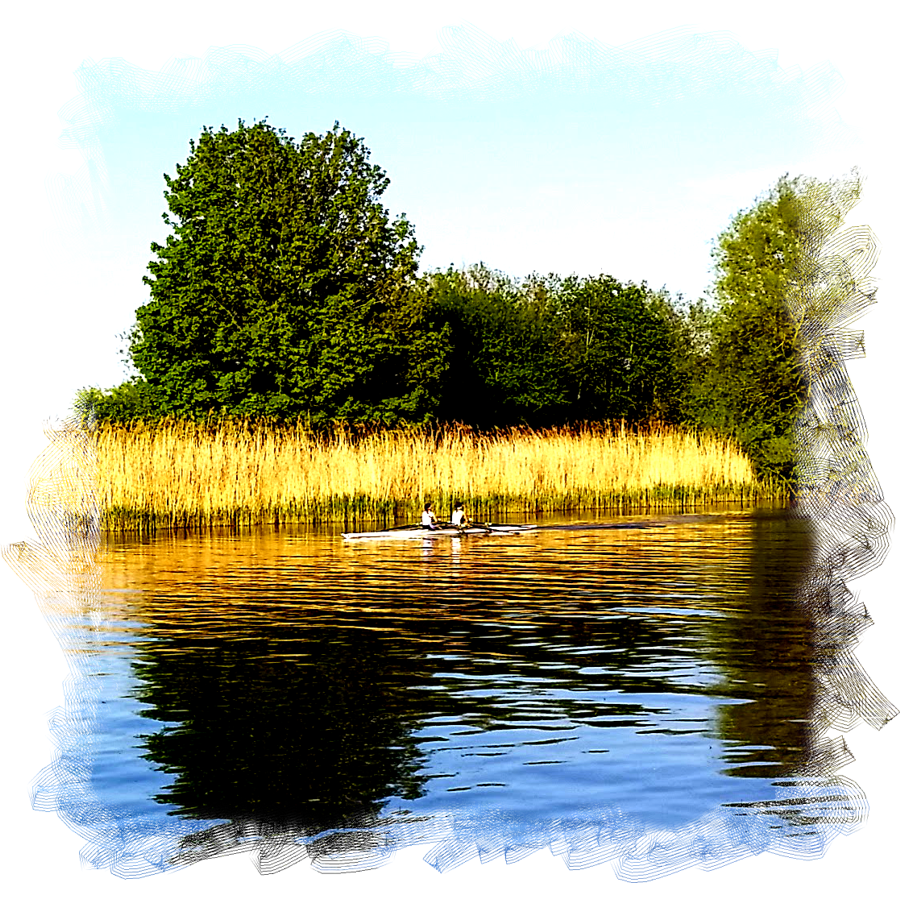 Two people in a racing shell. rowing in rippled water that reflects the reeds and trees in the background