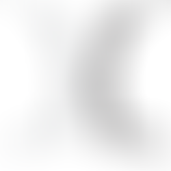 Outline of two profiles facing each other, one gray and one black but otherwise identical in mirror image.