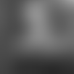 The Droeshout portrait of William Shakespeare morphed to appear somewhat like the author