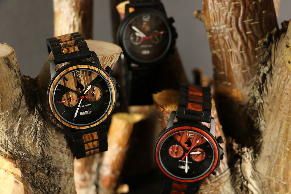 Modell "Aletschhorn"