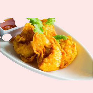 Wontons frit au poulet