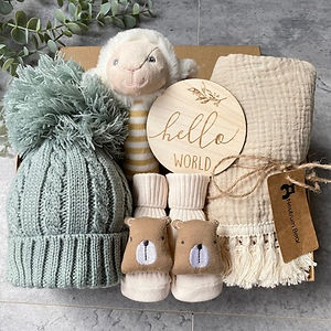 New Baby Basket
