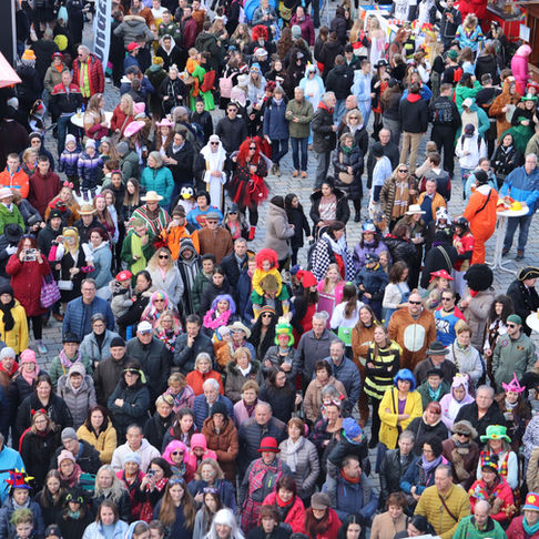 DIE NARREN sind los! Fasching in Pfaffenhofen