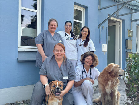 ALLES FÜR DIE KATZ (für den Hund natürlich auch): Tiergesundheitszentrum Ilmtal