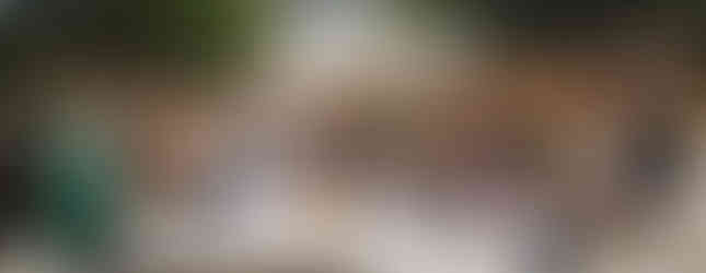 Eine Gruppe Menschen jubelt fröhlich in die Kamera.