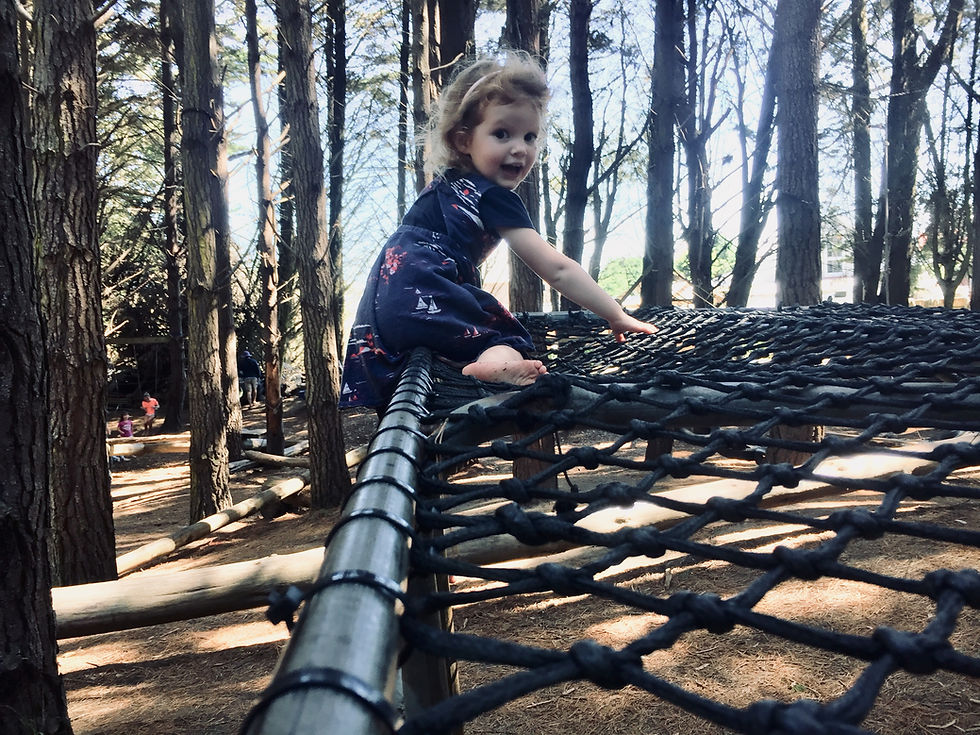 Waitarere Fairy Garden (aka the Middle Earth Adventure Park)
