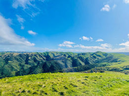 Old Coach Road - Belmont Regional Park