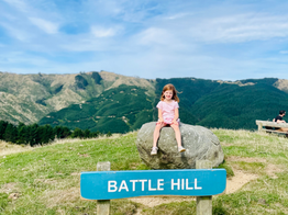 Battle Hill Farm Forest Park - Paekakariki Hill