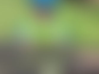 An 'Adventure Walk' on a rainy day