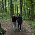 Spaziergang im Wald