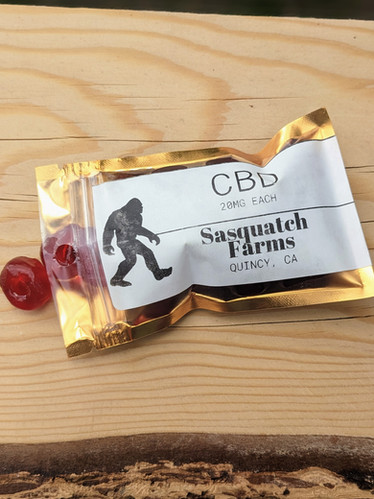 Benefits of Medterra CBD Gummies Sleep Tight Strawberry for Sleep