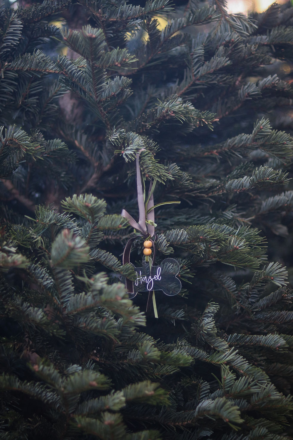 Thumbnail: The Ornament