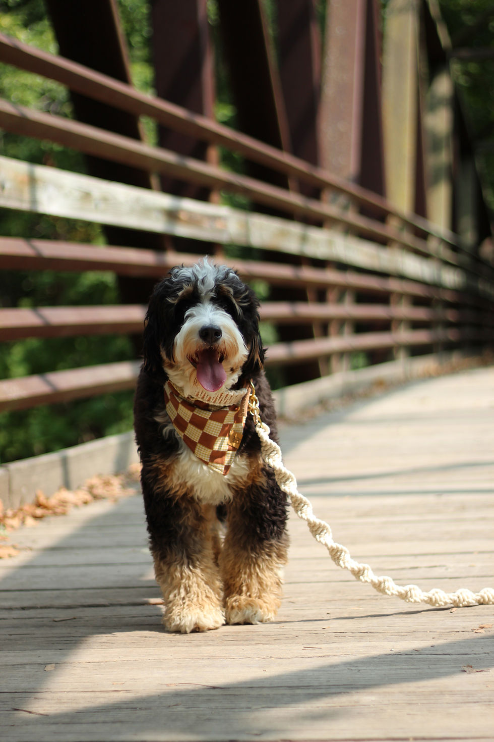 Thumbnail: The Walter