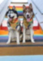 Thumbnail: The Pride Bandana