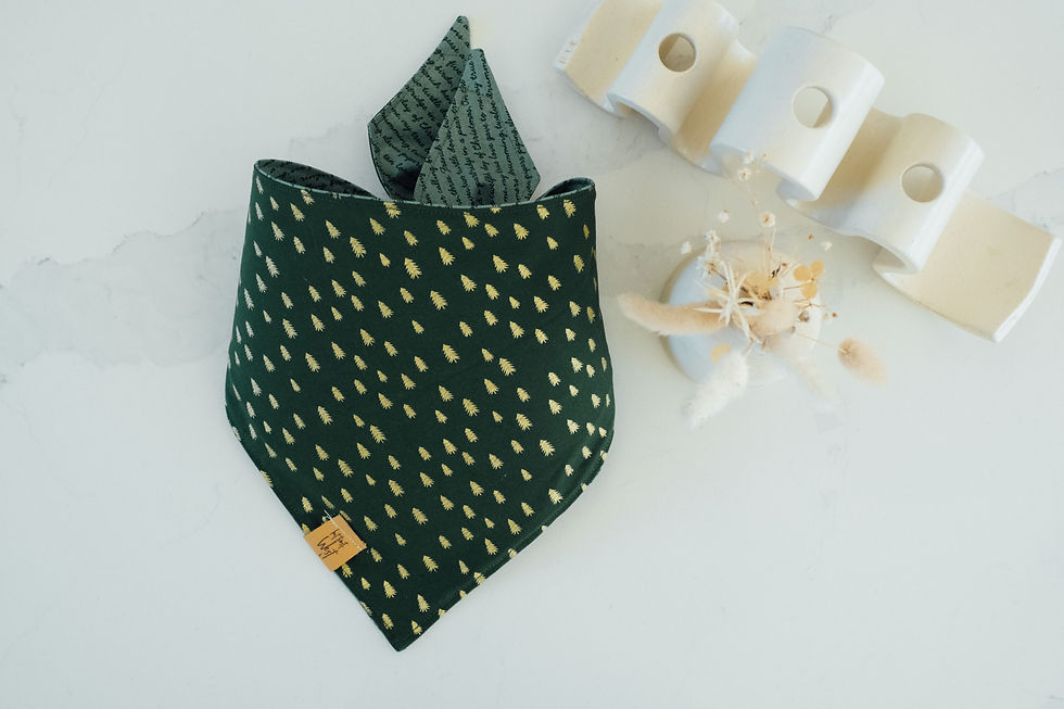 Thumbnail: The Bernard