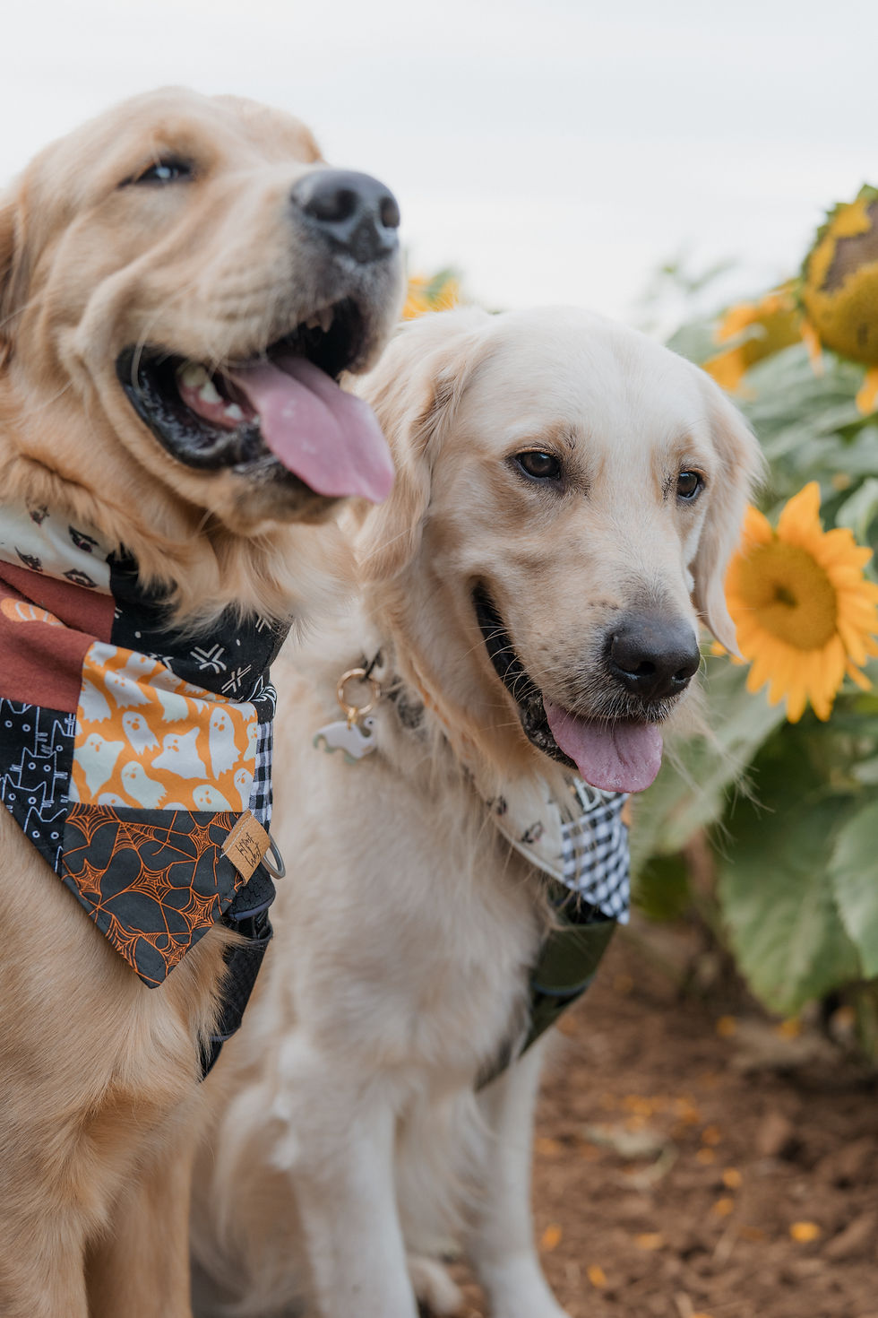Thumbnail: Stay Spooky Patch Bandana