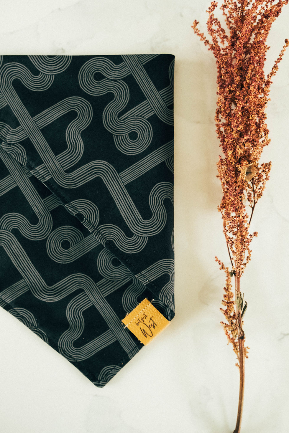 Thumbnail: The Grimm