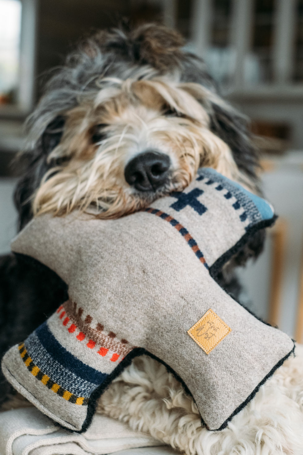 Thumbnail: X's and bOnes Plush Dog Toy