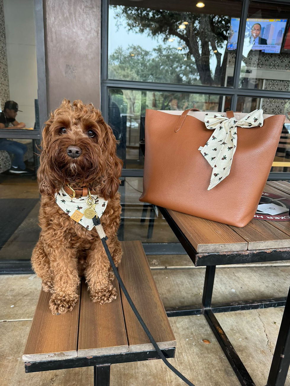 Thumbnail: The Scout Scarf