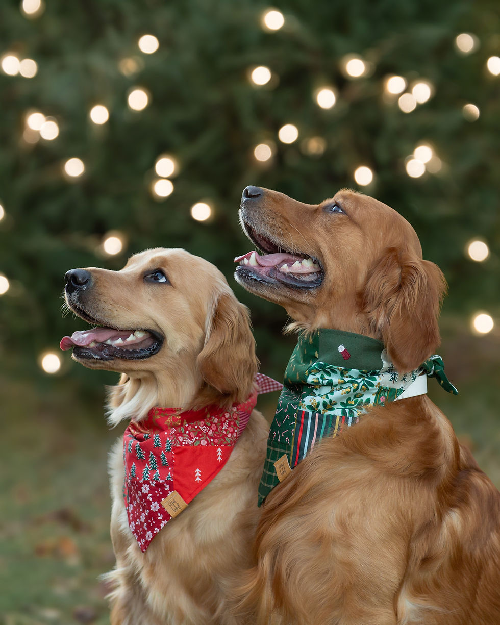 Thumbnail: The Naughty & Nice List Patch Bandana