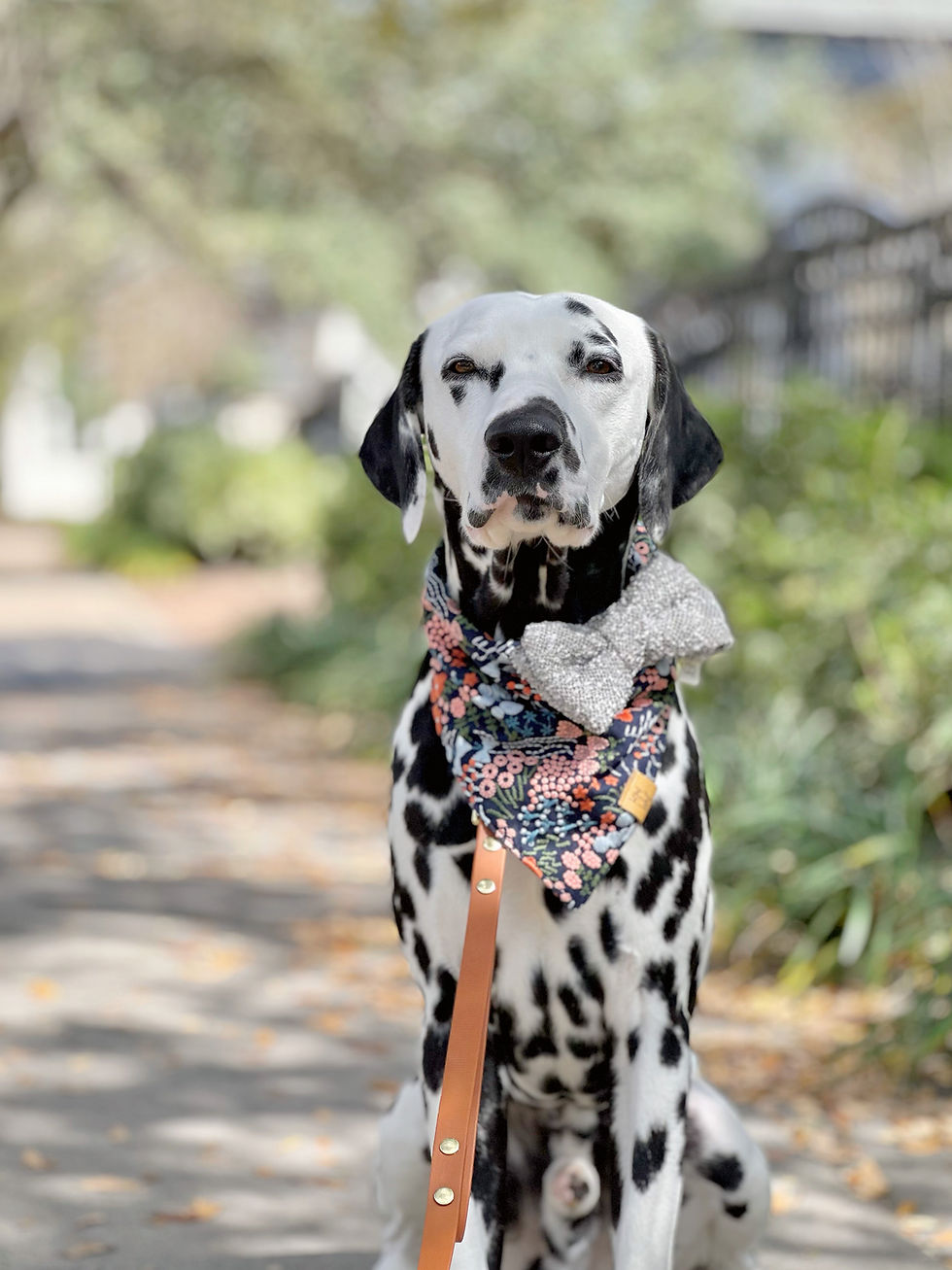 Thumbnail: The Hawthorne