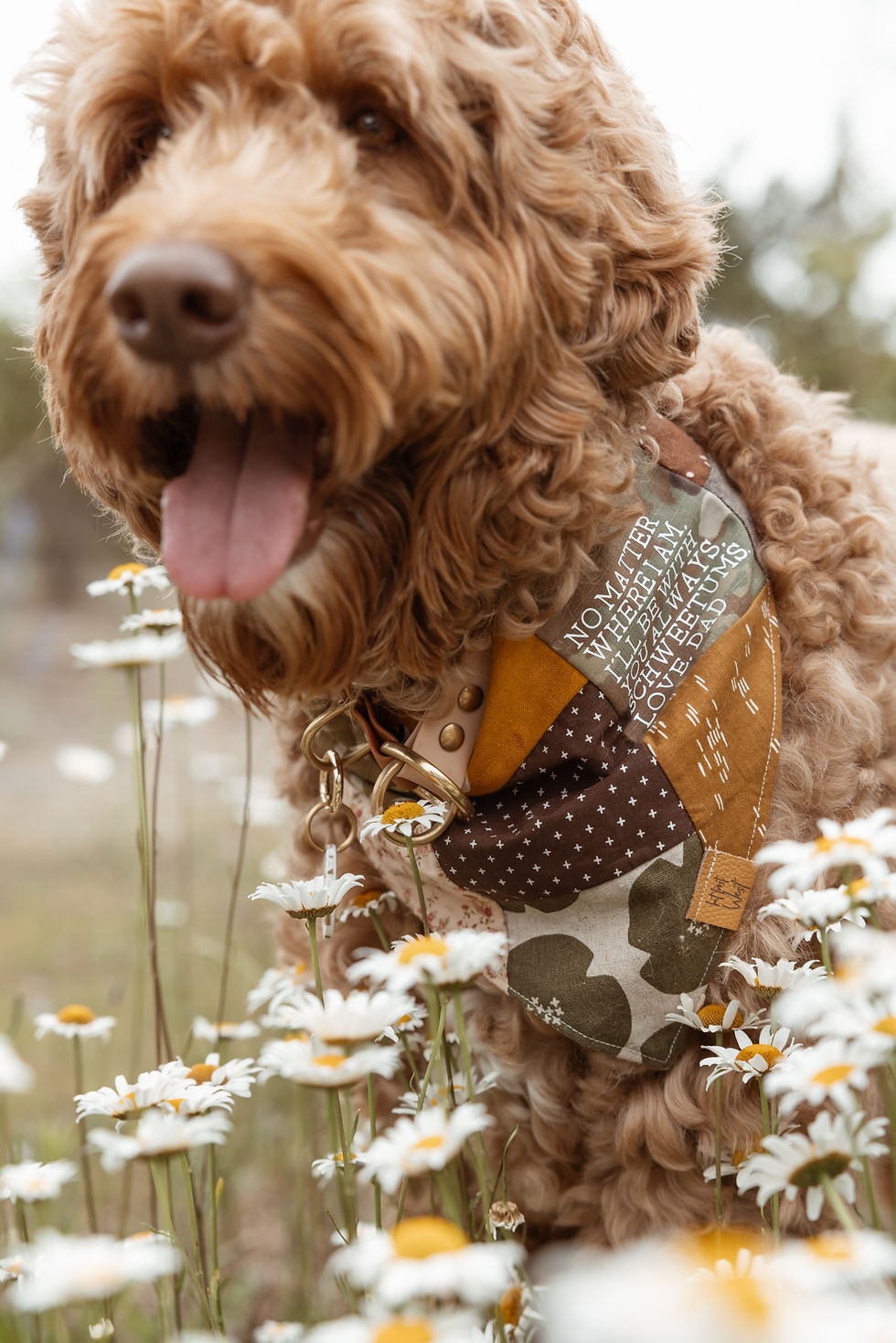 Thumbnail: The Personalized Patch